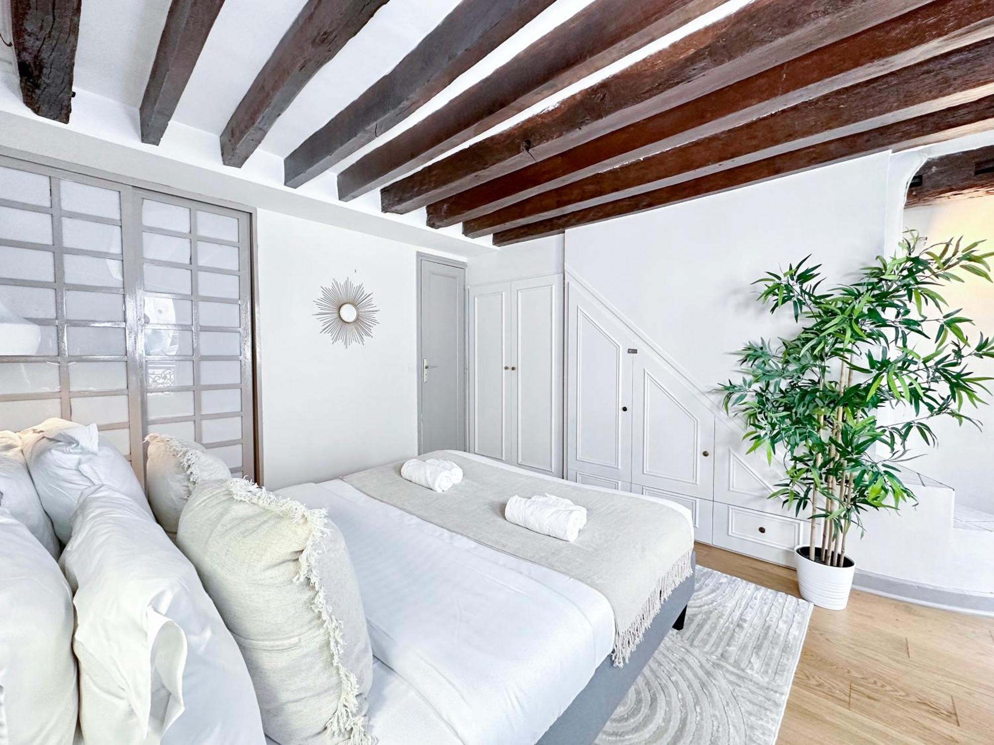 Saint Germain Des Prés - Amazing Duplex - 2066 Parigi